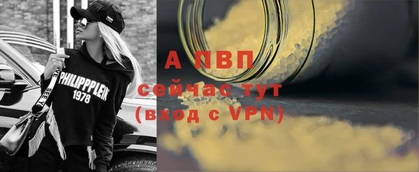 ешки Арсеньев