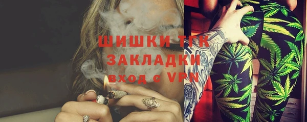 spice Аркадак